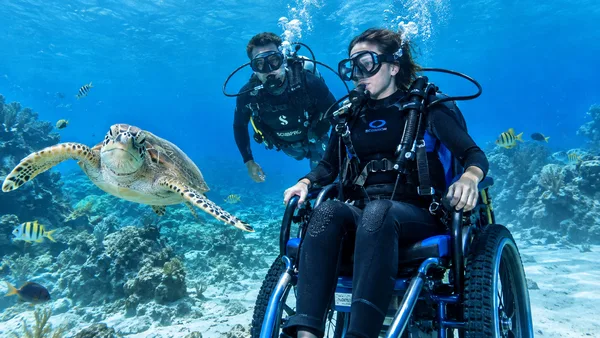Wheelchair Access