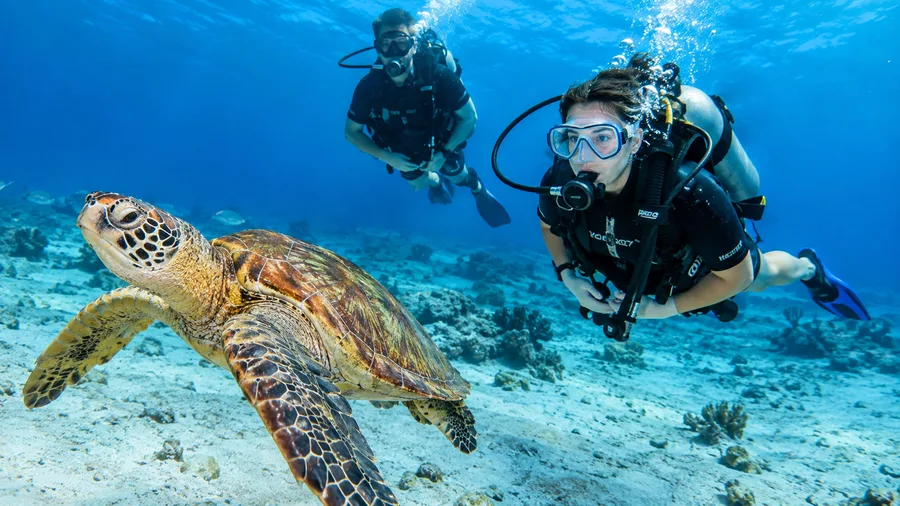 Beginner Scuba Diving in Cancun: Non-Certified and DSD Guide
