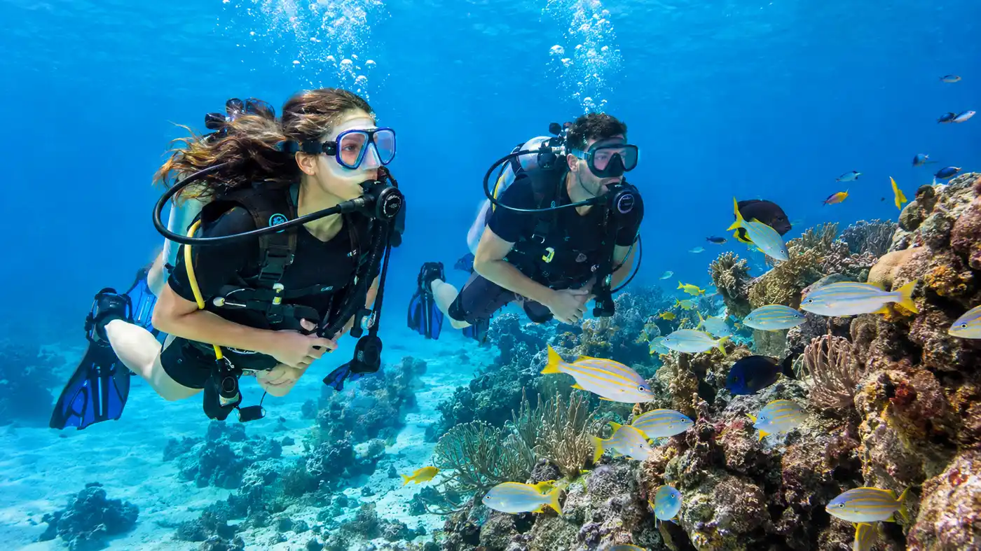Beginner Scuba Diving in Cancun: Non-Certified and DSD Guide