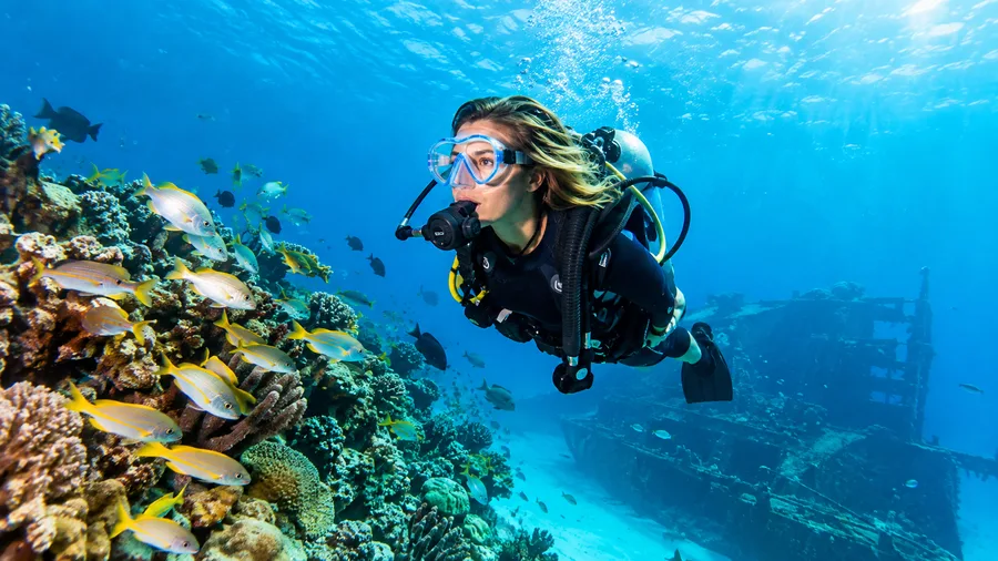 Best Cancun Dive Resorts and All-Inclusive Vacations