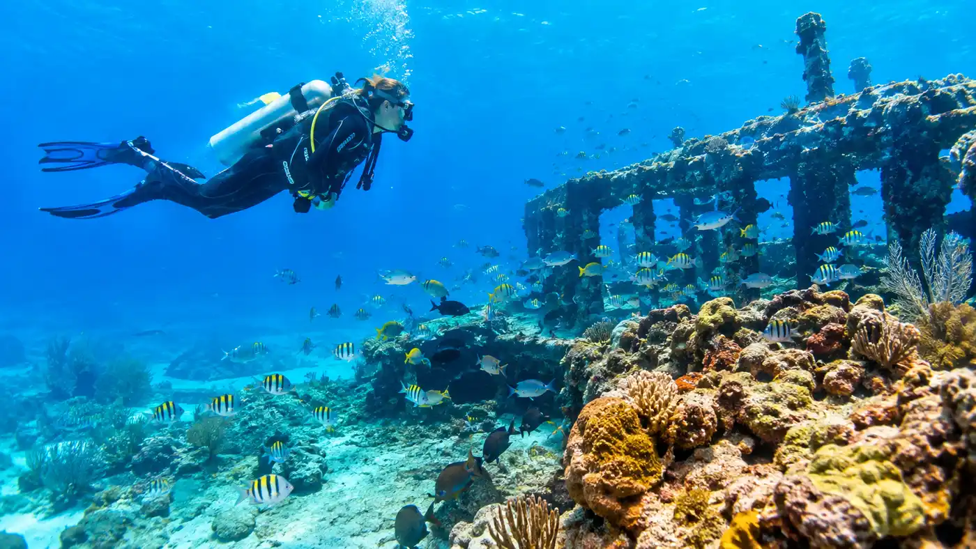 Best Cancun Dive Resorts and All-Inclusive Vacations