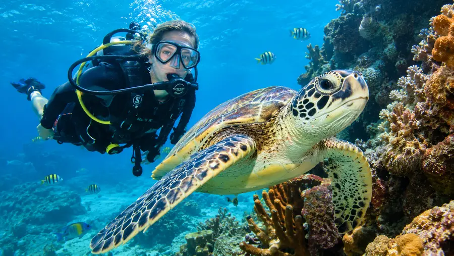 Las mejores tiendas de buceo y excursiones de buceo en Cancún