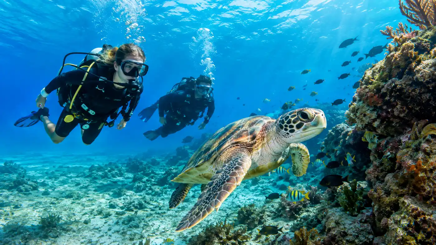 Las mejores tiendas de buceo y excursiones de buceo en Cancún