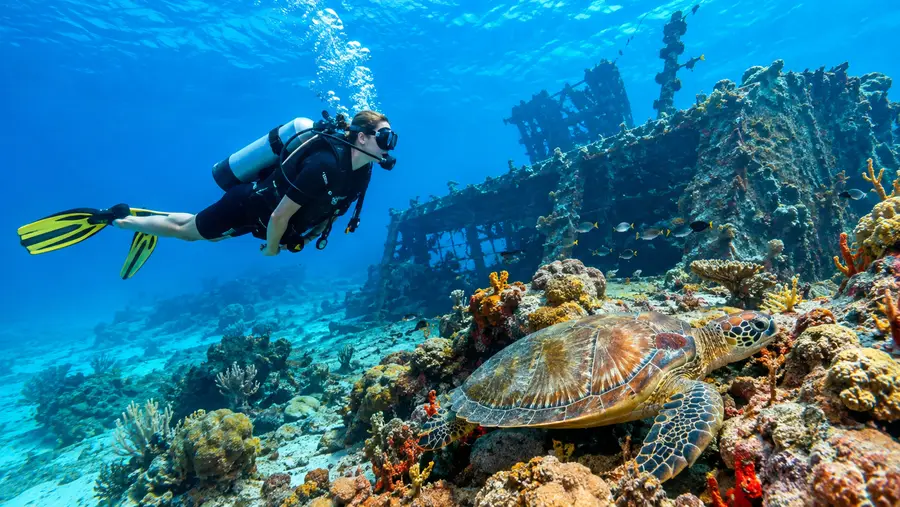 Best Cancun Dive Sites: Coral Reefs and Wrecks