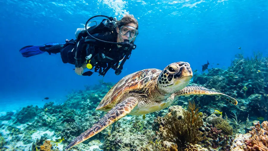 PADI and SSI Scuba Diving Certification in Cancun