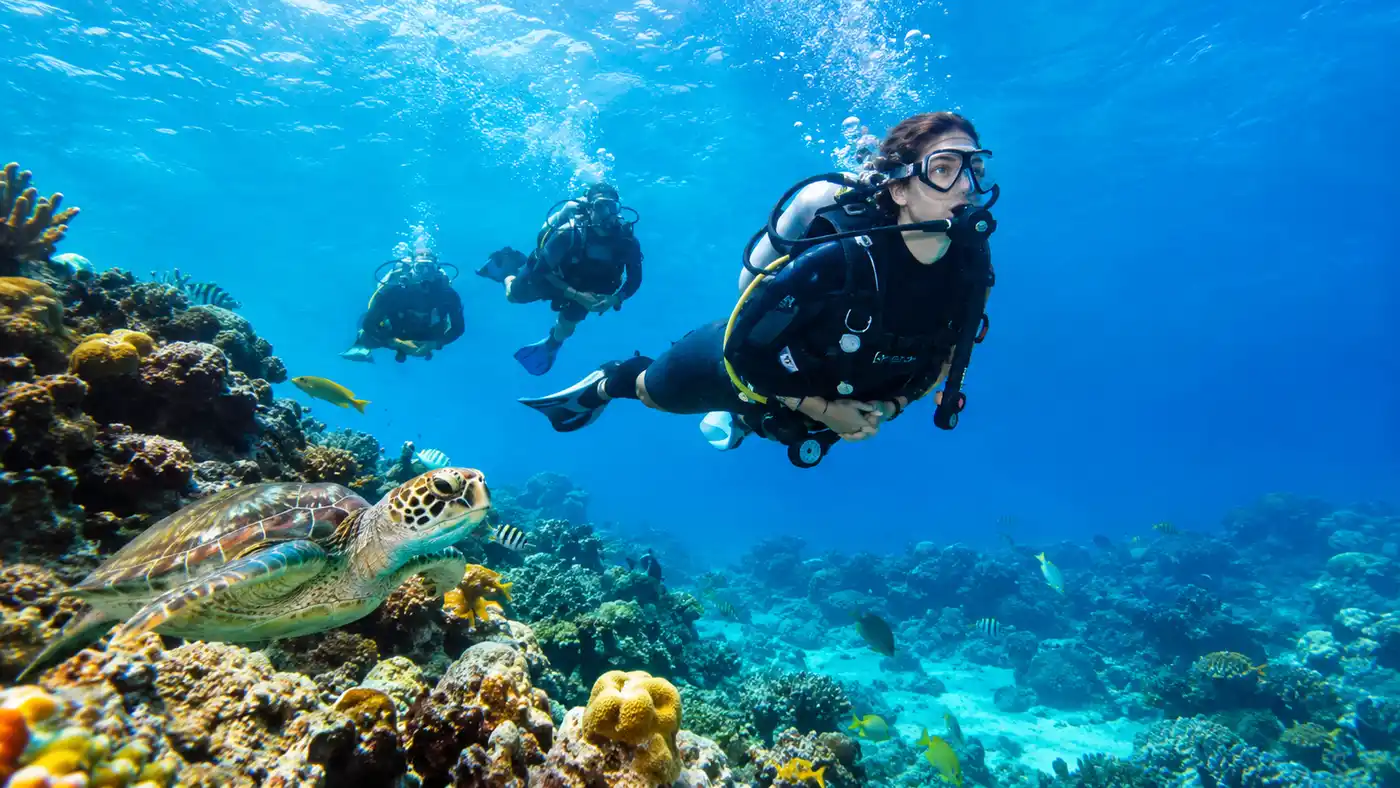 PADI and SSI Scuba Diving Certification in Cancun