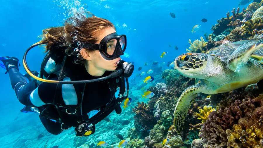 Cancun Scuba Diving Prices, Costs, and Tour Packages