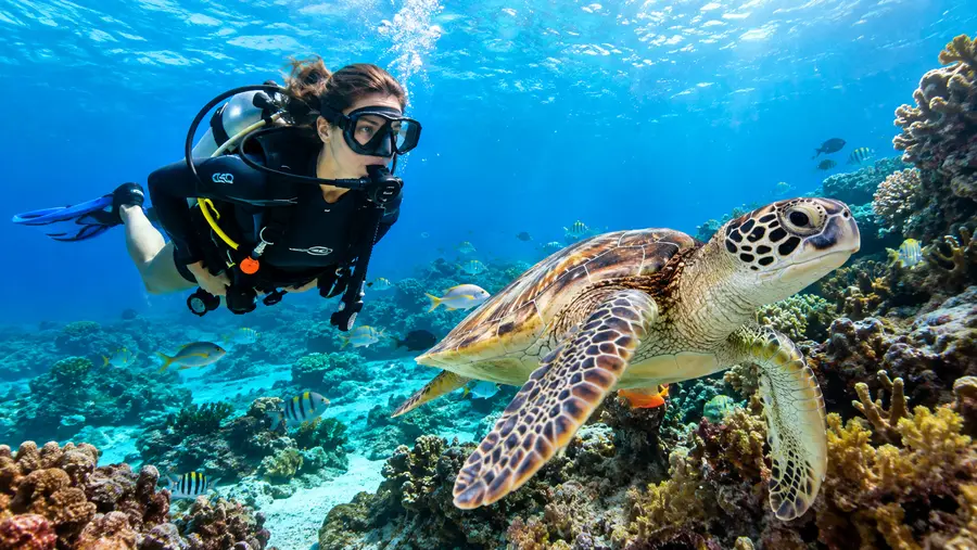 Cancun Scuba Diving Prices, Costs, and Tour Packages