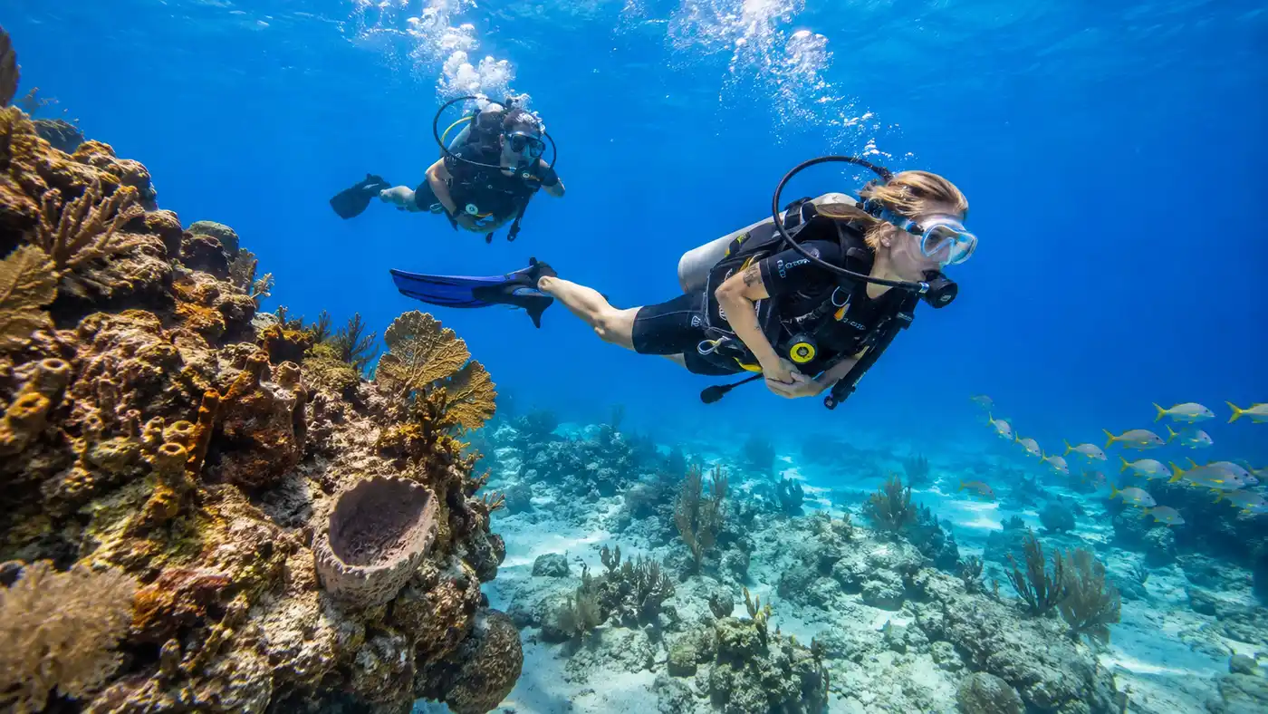 Cancun Scuba Diving Prices, Costs, and Tour Packages
