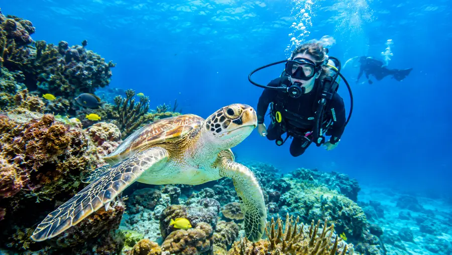 Scuba Diving Cozumel and Puerto Morelos from Cancun