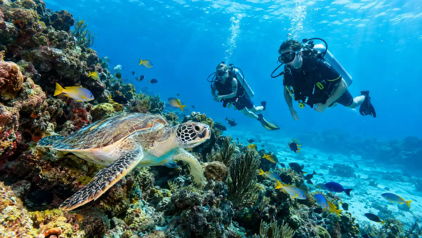 Scuba Diving Cozumel and Puerto Morelos from Cancun