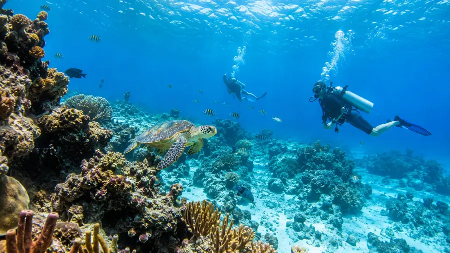 cancun scuba diving